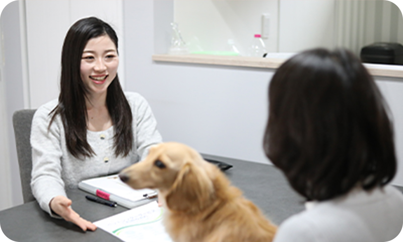 初回のご訪問とお申込み