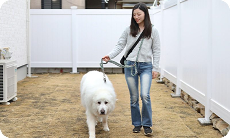 依頼された日程にお世話のためご訪問