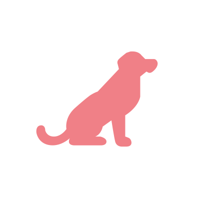 犬のお世話