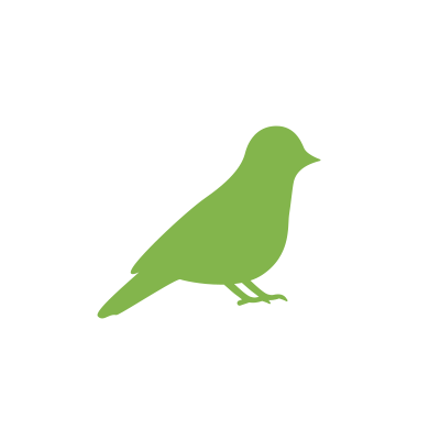 鳥のお世話