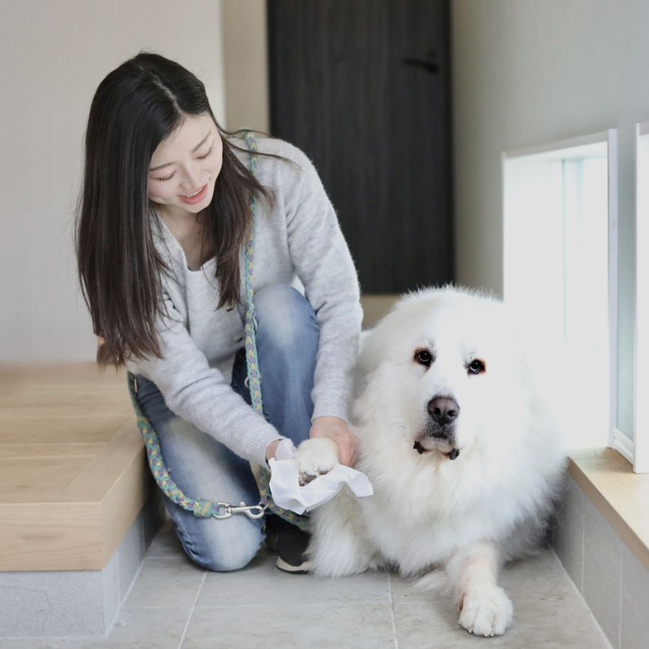 どんなサービス？