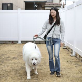 ご希望の日程でペットのお世話をさせていただきます。