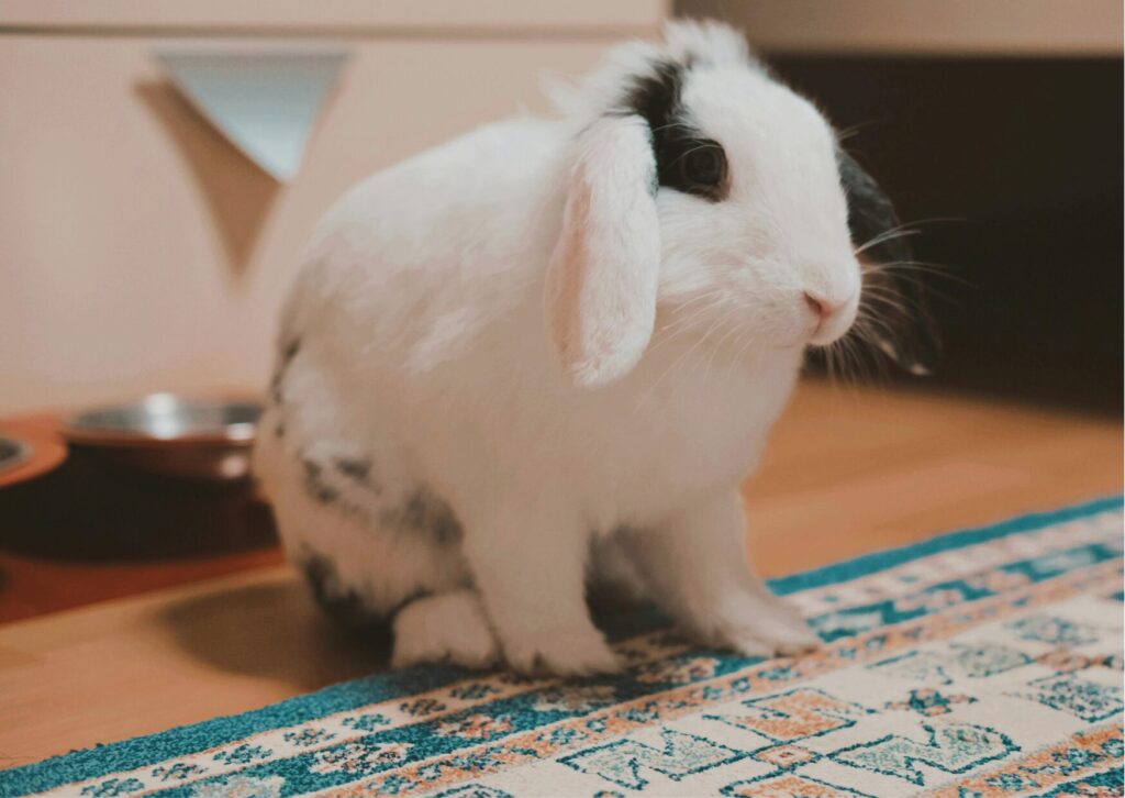 無理のないコミュニケーション