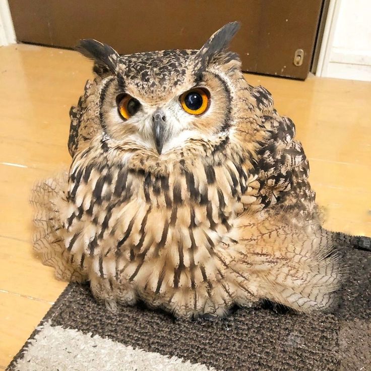 状況に応じたコースのご案内