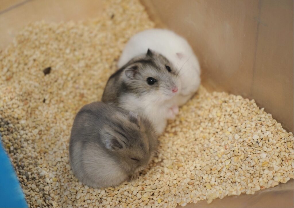 状況に応じたコースのご案内