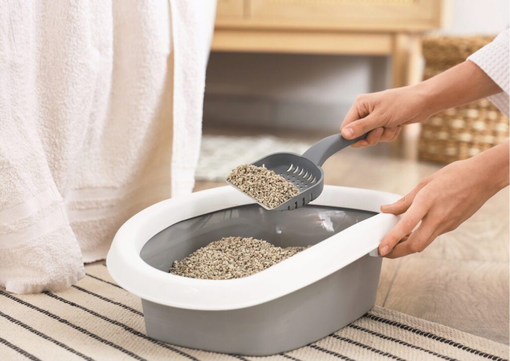 トイレ清掃・排泄確認