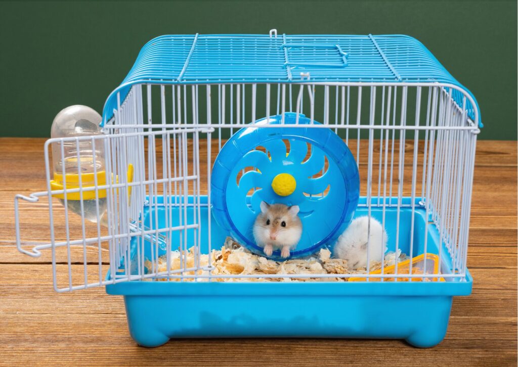 ケージ内の清掃・衛生管理