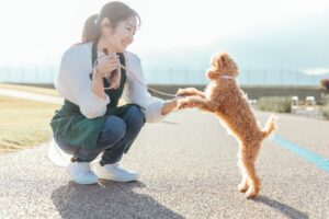 ペットシッターは何をする？仕事内容を徹底解説