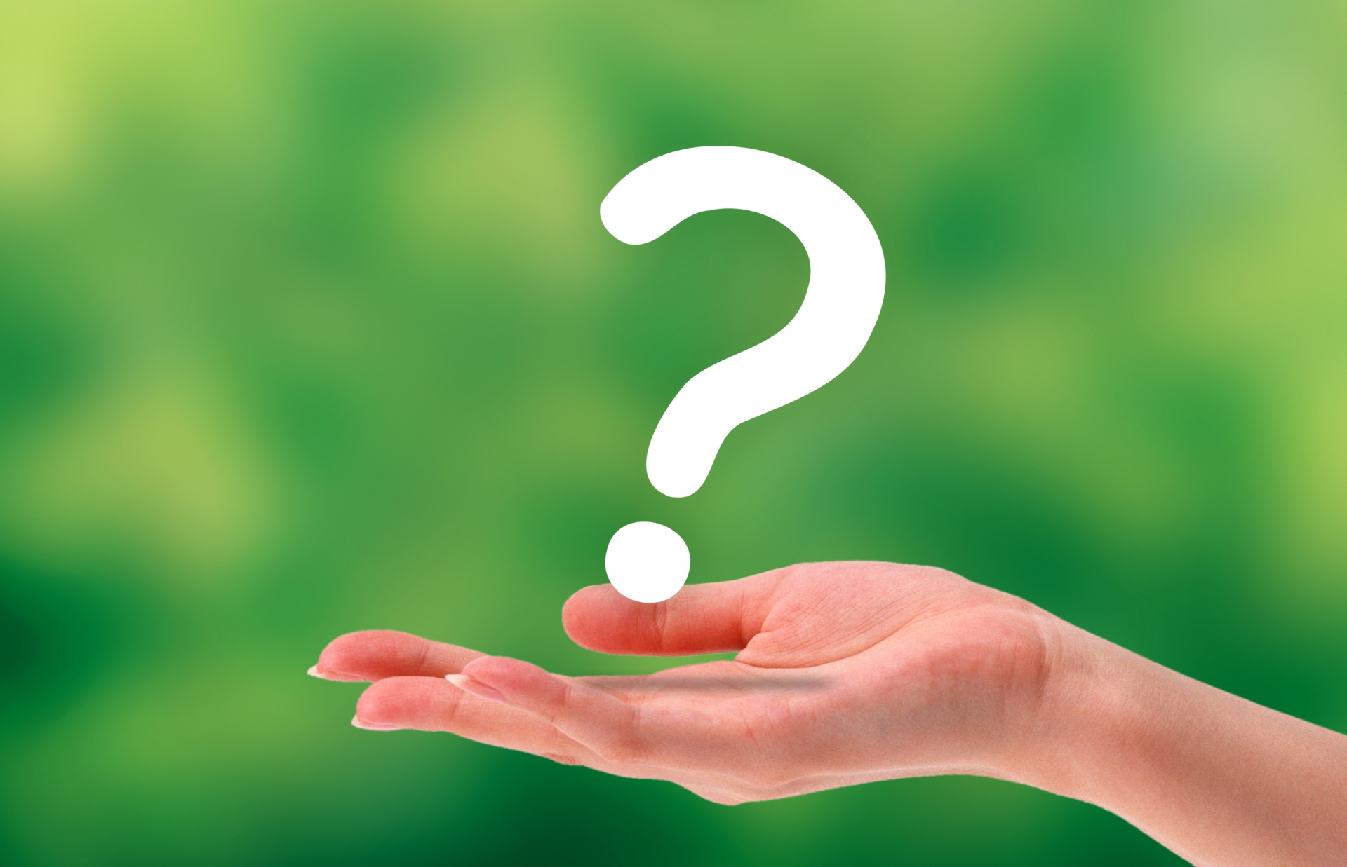 ペットシッターとペットホテルどっち?違いと選び方を解説