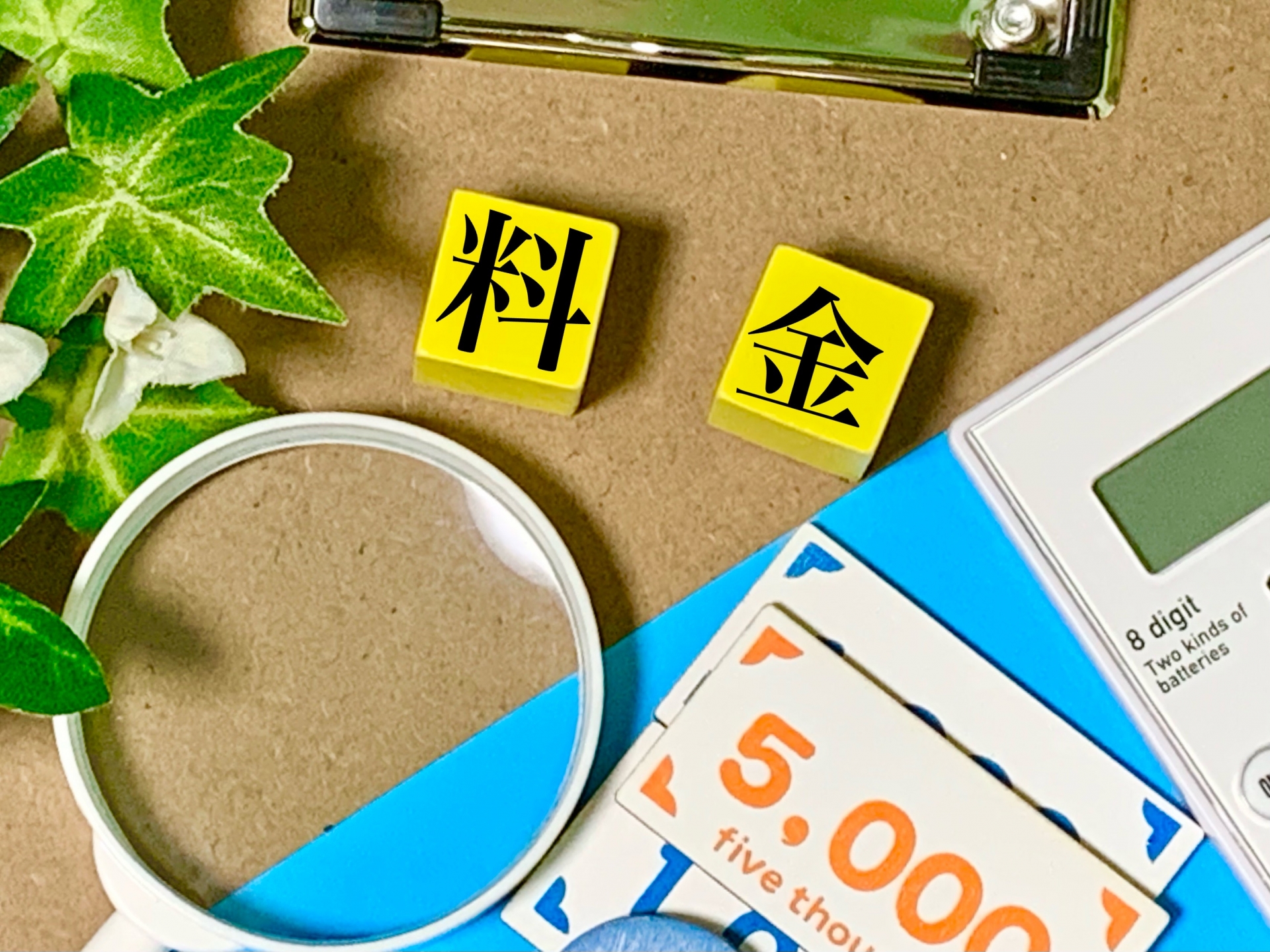 ペットシッターの料金相場|選び方と注意点を解説