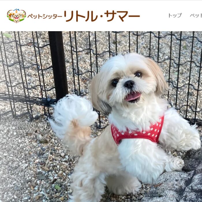 ペットシッター　リトル・サマー